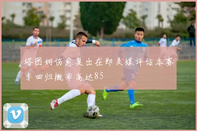 塔图姆伤愈复出在即美媒评估本赛季回归概率高达85