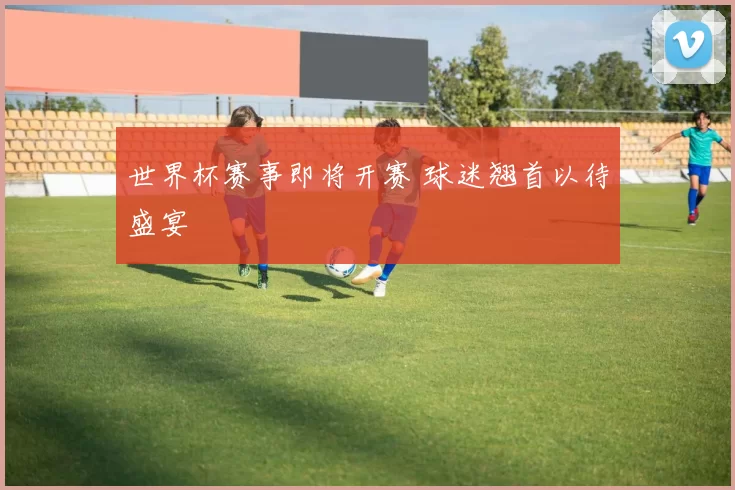世界杯赛事即将开赛 球迷翘首以待盛宴