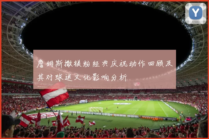 詹姆斯撒镁粉经典庆祝动作回顾及其对球迷文化影响分析