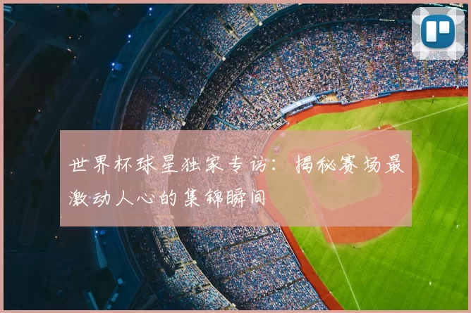 世界杯球星独家专访：揭秘赛场最激动人心的集锦瞬间