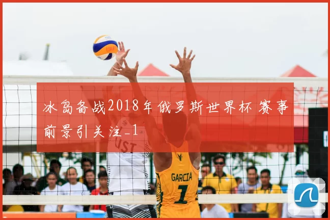 冰岛备战2018年俄罗斯世界杯 赛事前景引关注_1