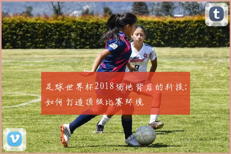 足球世界杯2018场地背后的科技：如何打造顶级比赛环境