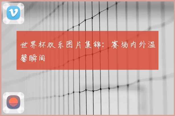 世界杯欢乐图片集锦：赛场内外温馨瞬间
