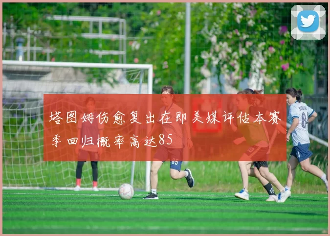 塔图姆伤愈复出在即美媒评估本赛季回归概率高达85