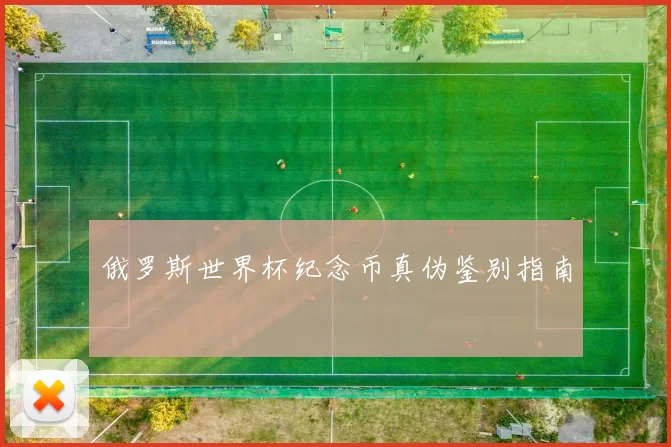 俄罗斯世界杯纪念币真伪鉴别指南