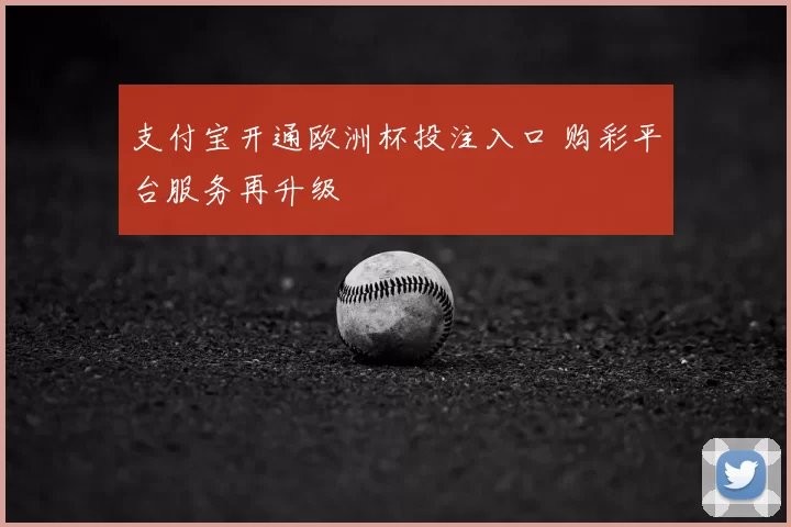 支付宝开通欧洲杯投注入口 购彩平台服务再升级