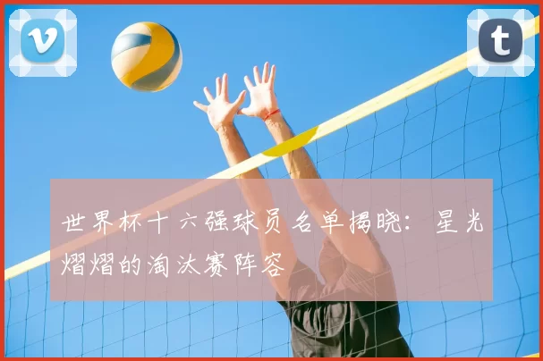 世界杯十六强球员名单揭晓：星光熠熠的淘汰赛阵容