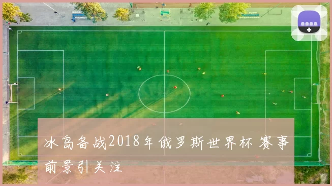 冰岛备战2018年俄罗斯世界杯 赛事前景引关注