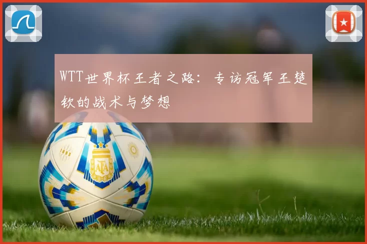 WTT世界杯王者之路：专访冠军王楚钦的战术与梦想