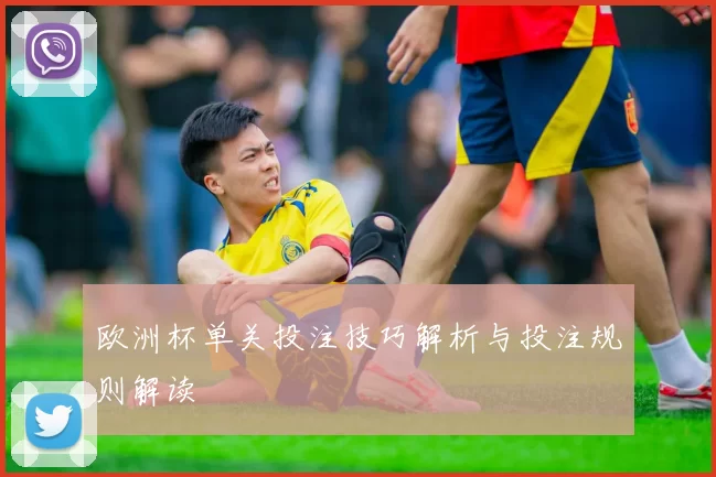 欧洲杯单关投注技巧解析与投注规则解读